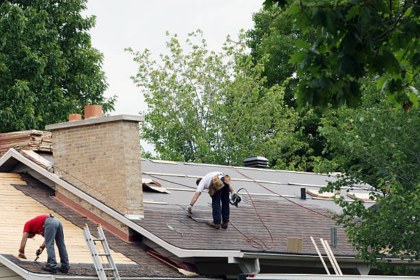Best Flat Roof Repair Services  in Davison, MI