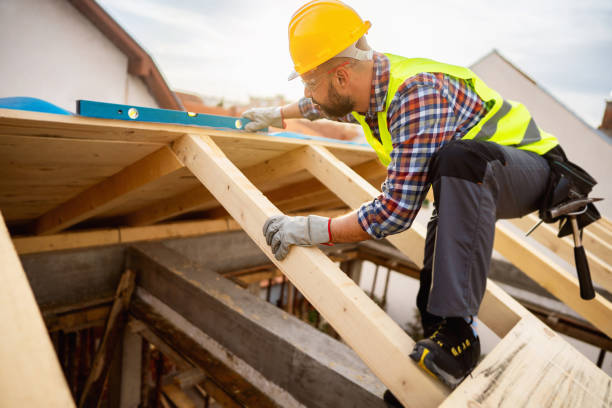 Best Emergency Roof Repair  in Davison, MI