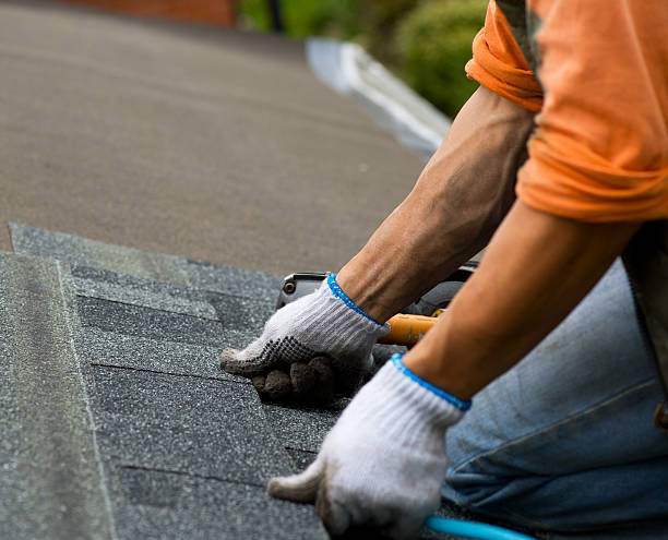 Best Commercial Roof Installation  in Davison, MI