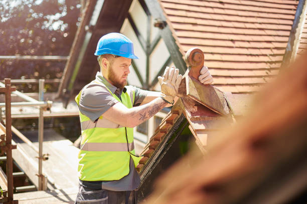 Best Roof Repair Services  in Davison, MI